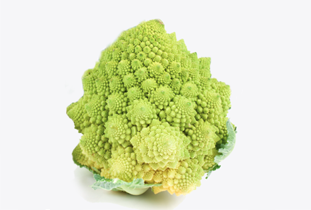 Romanesco broccoli